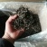 普洱茶二级