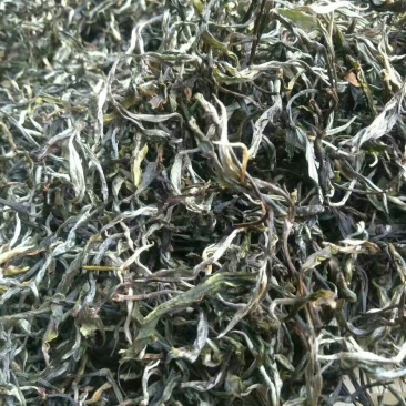 普洱茶二级