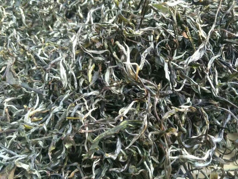 普洱茶二级