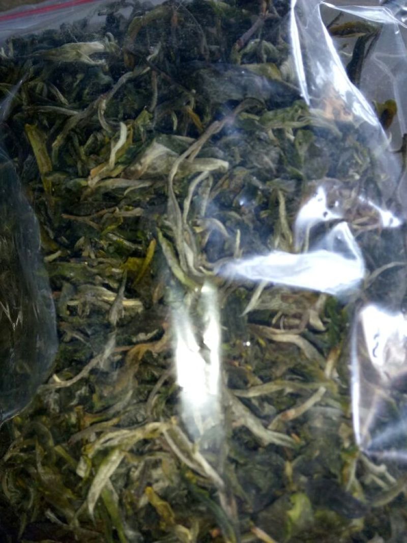 百年大树茶一级