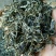 百年大树茶一级