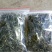 百年大树茶一级