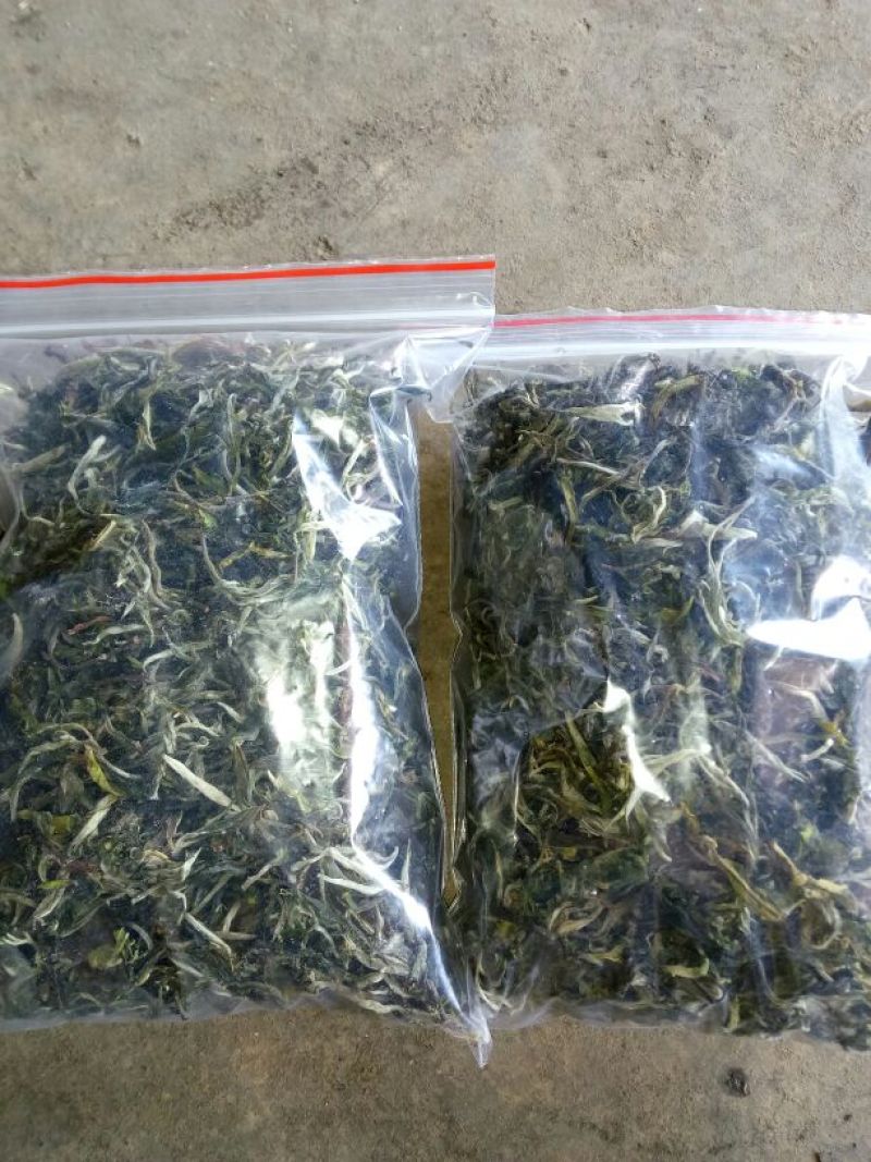 百年大树茶一级