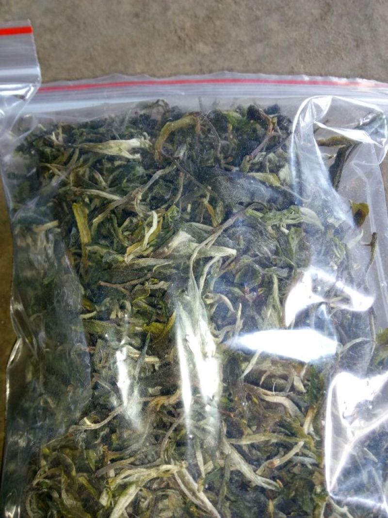 百年大树茶一级
