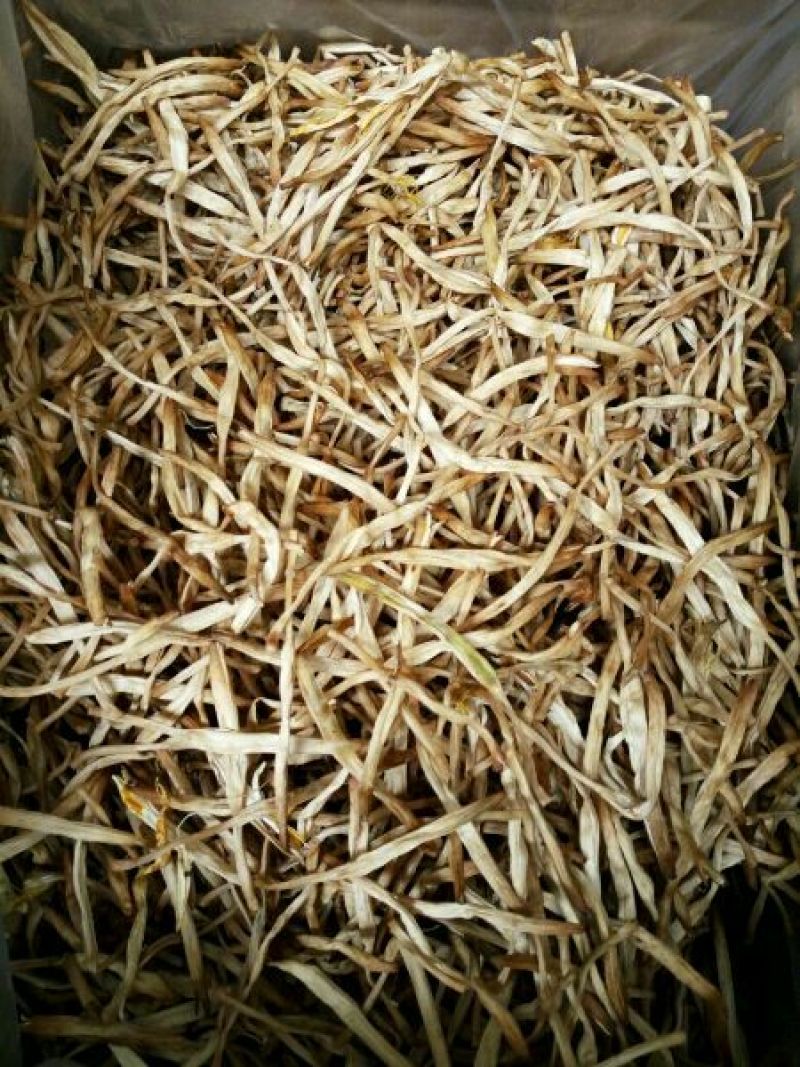 大同广灵黄花菜，大量上市