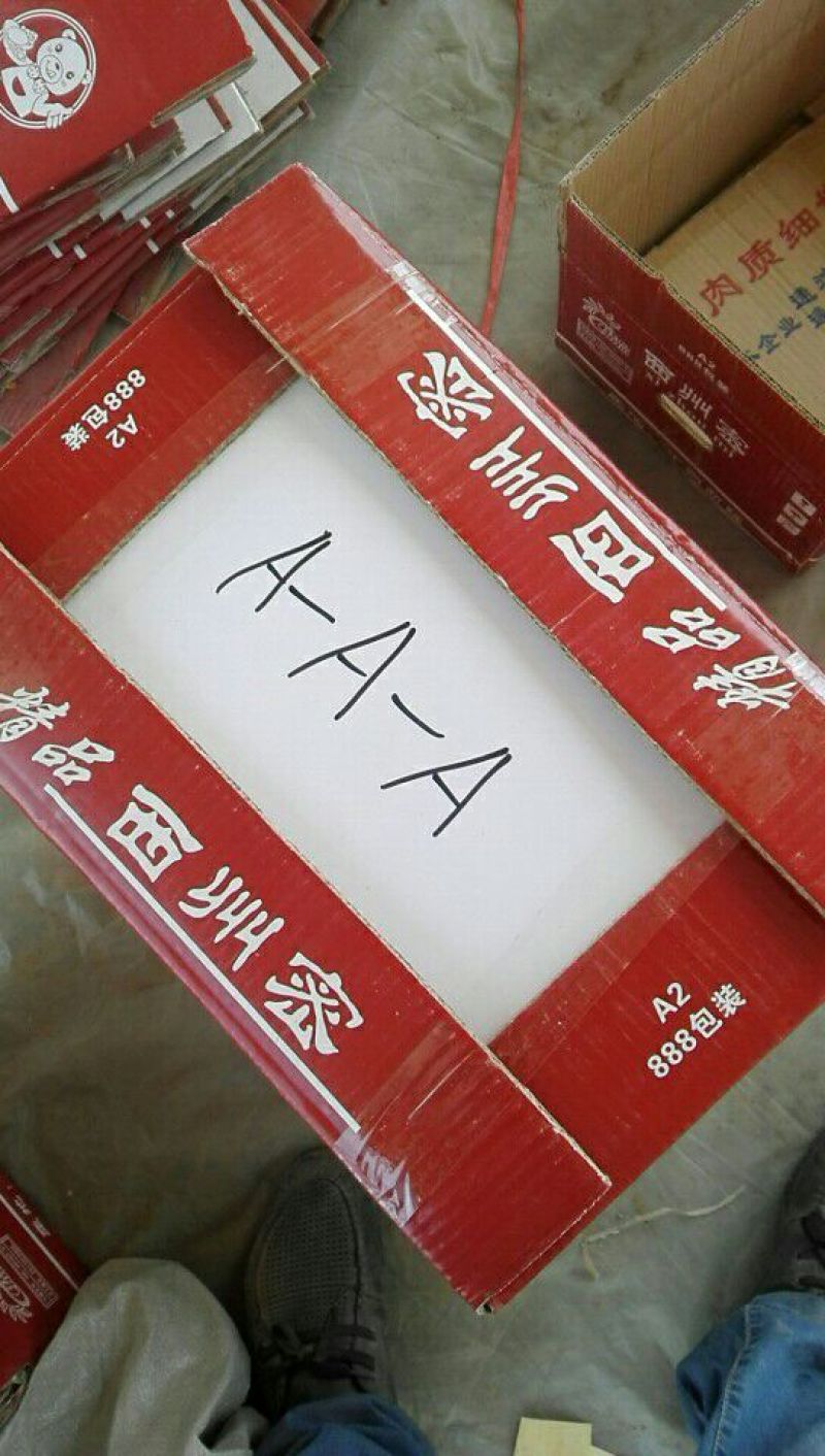 西州蜜瓜3斤以上椭圆形