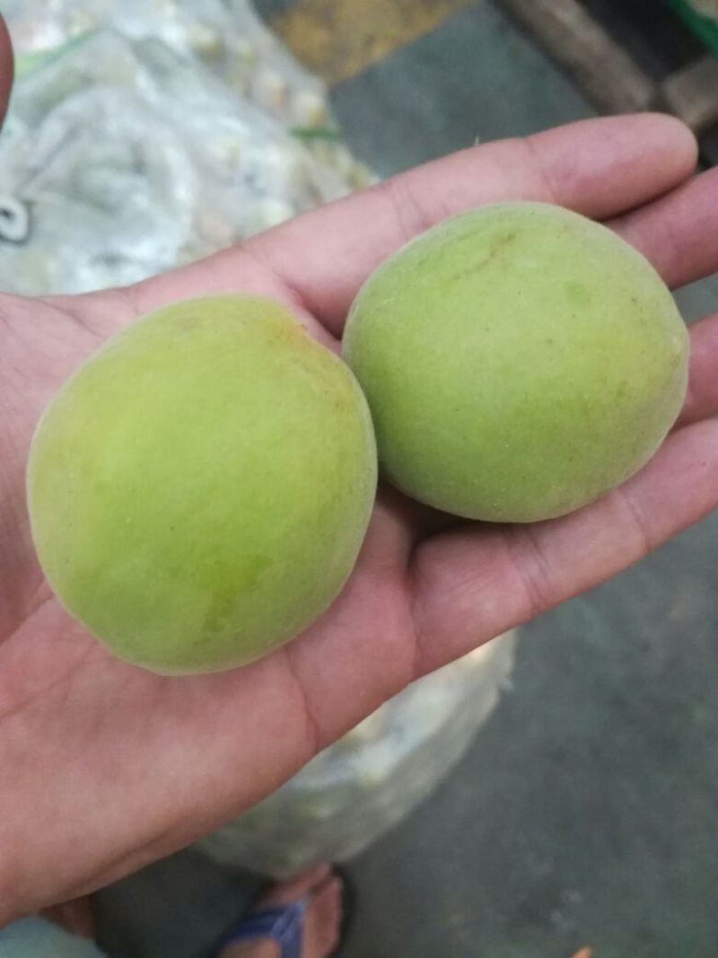 梅子35~40g