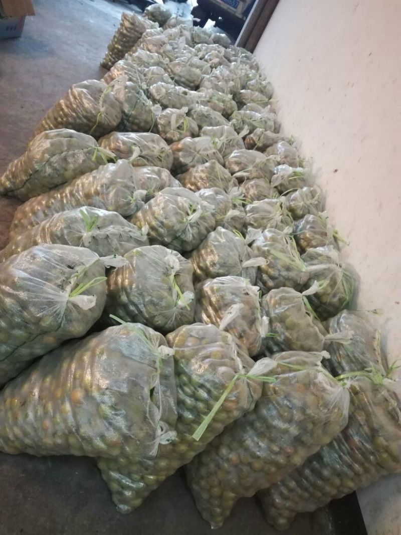 梅子35~40g