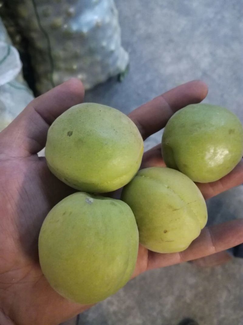 梅子35~40g