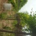 榆树12~14cm12~14cm3~3.5m