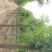 榆树12~14cm12~14cm3~3.5m