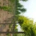 榆树12~14cm12~14cm3~3.5m