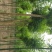 国槐8~10cm6~8cm1~2米