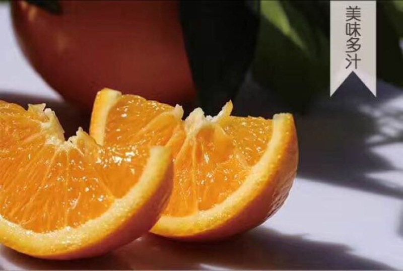 夏橙，秭归夏橙，橙子，地头看货，产地合作社代办