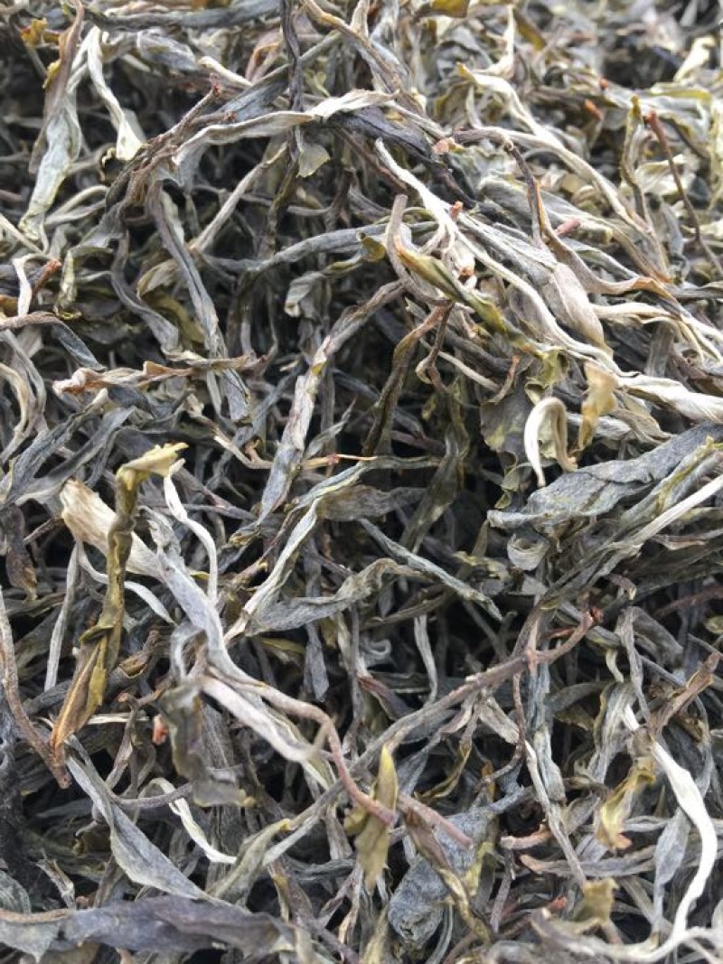 普洱茶