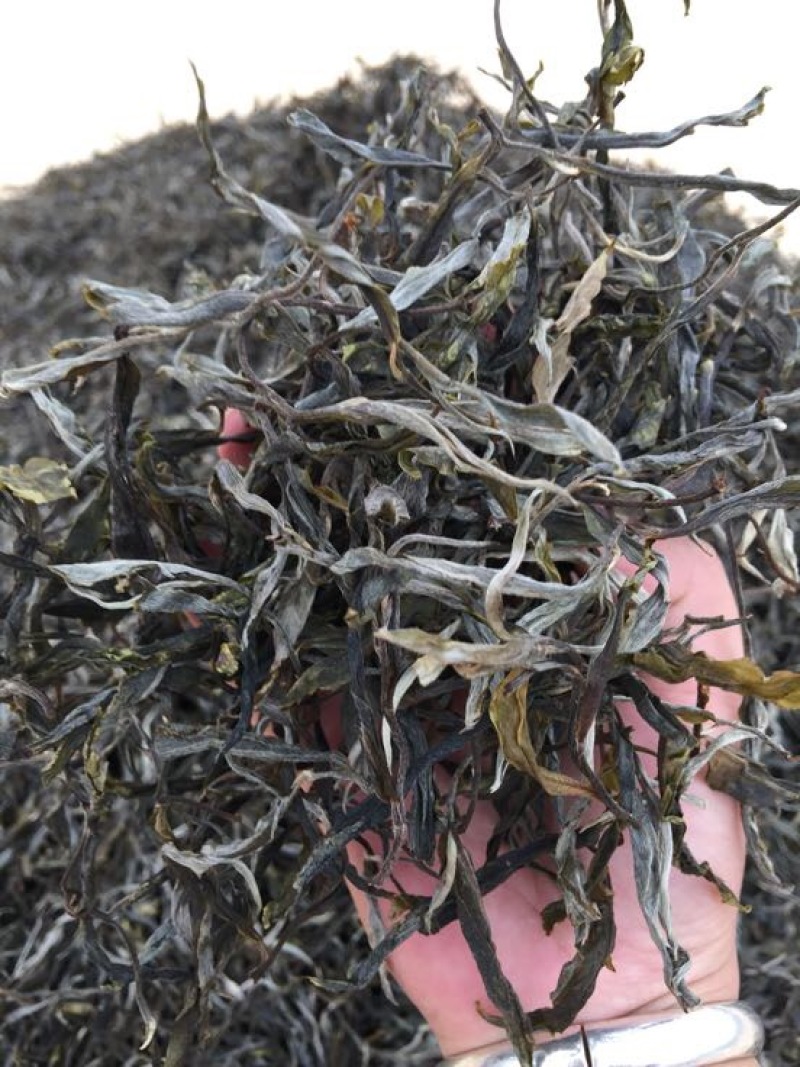 普洱茶