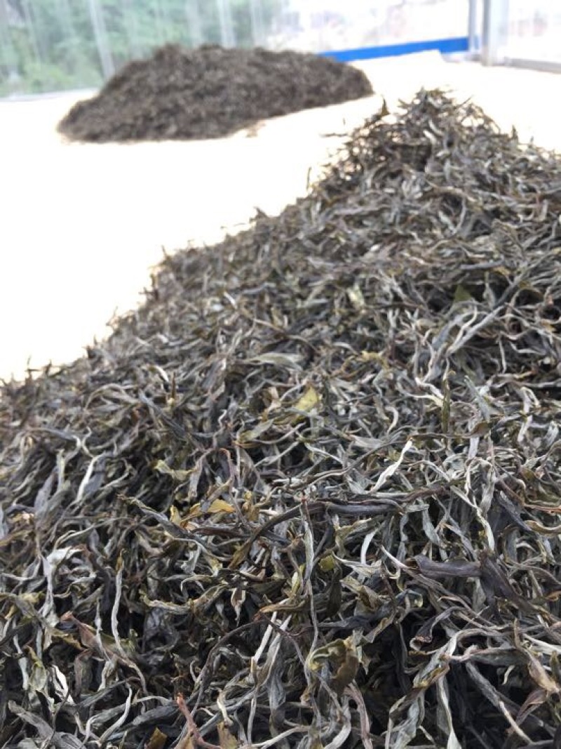 普洱茶