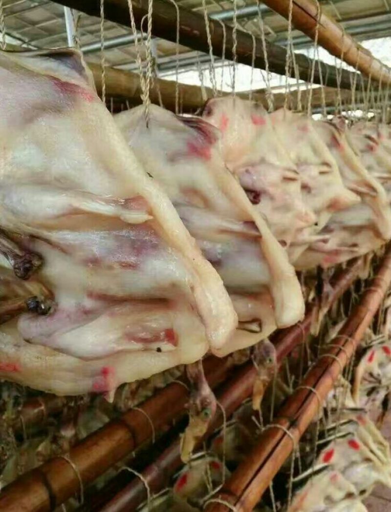 腊鸭