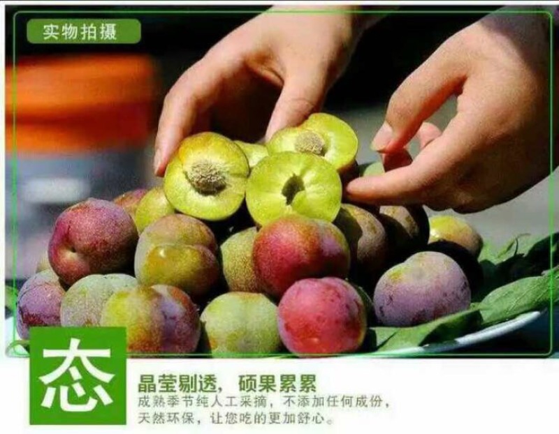 半边红李子