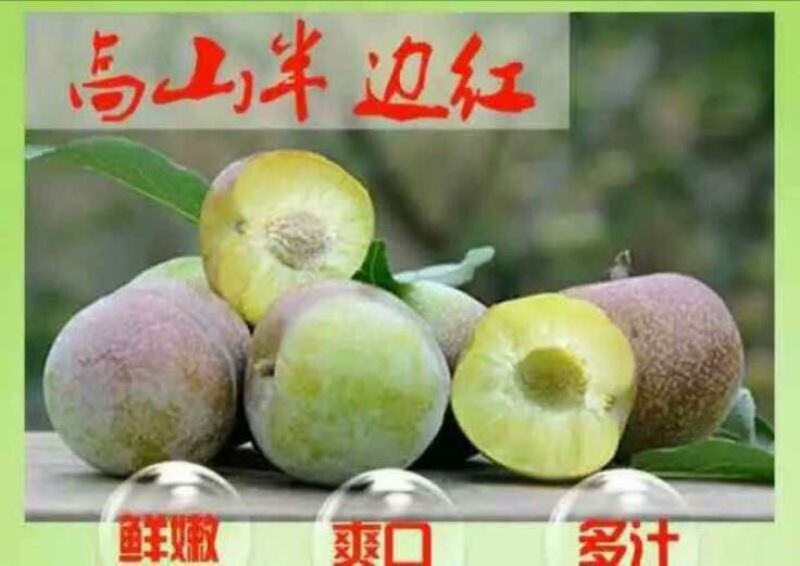 半边红李子