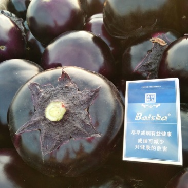 茄子4两以上四季蔬菜四季供应包装齐全