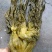 芥菜5两以上，酸菜，酸豆角，雪里红酸菜