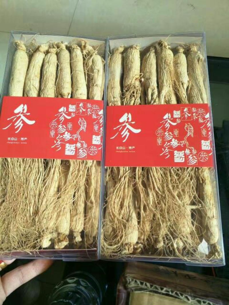 吉林人参正宗吉林长白山人参，生晒参