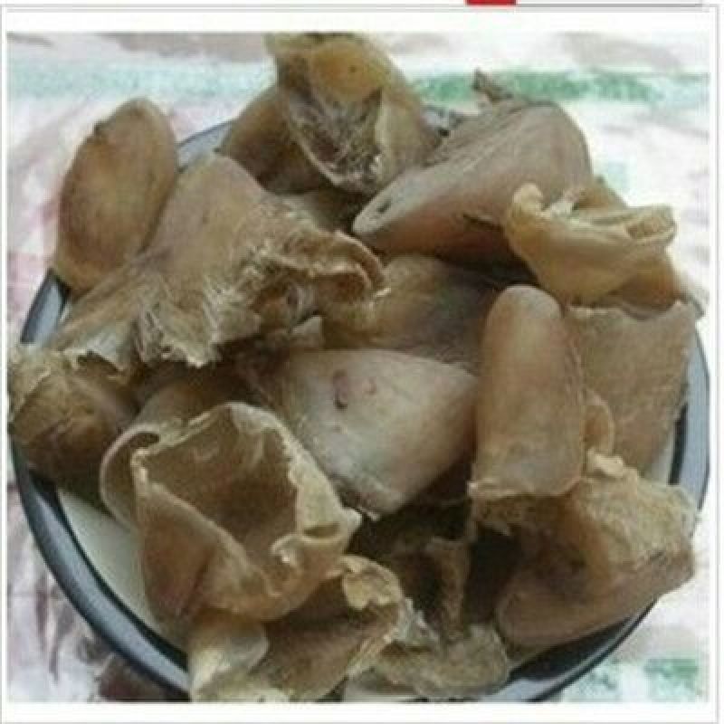 猪蹄甲选货中药材批发零售大量供应货真价实