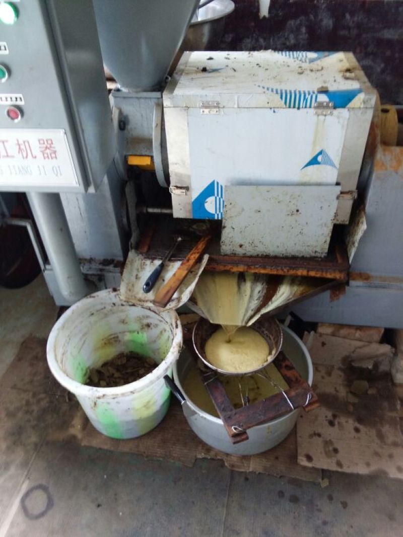 菜饼