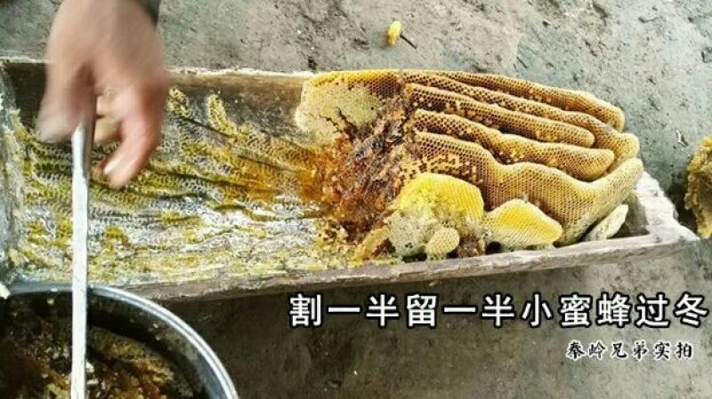 土蜂蜜1斤