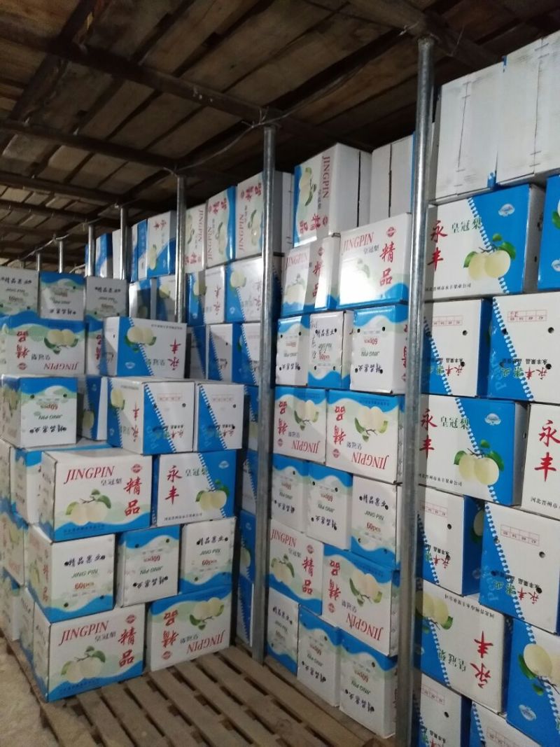 河北皇冠梨赵县梨新鲜梨子品质好价格优欢迎来聊