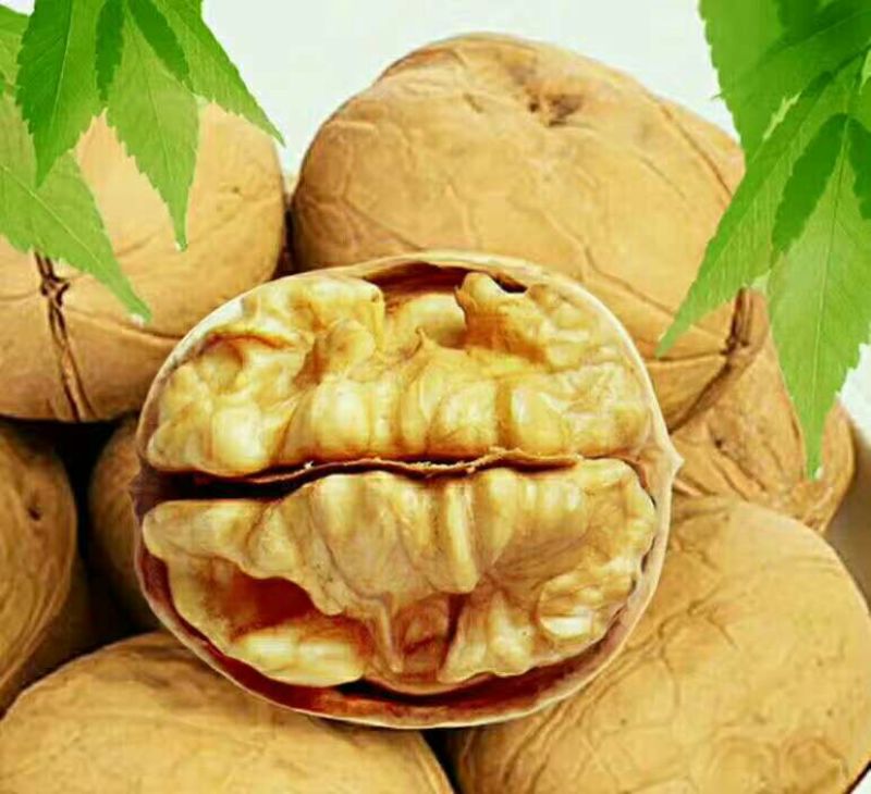 薄皮核桃去皮干