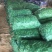 【精品】大蚕豆，诚信经营，全国代发，免费提供食宿