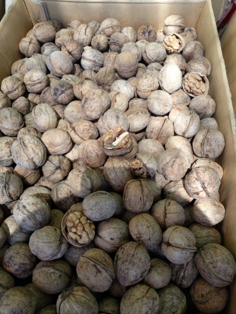 薄皮核桃30mm以上去皮干