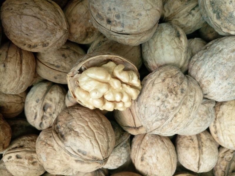 薄皮核桃30mm以上去皮干