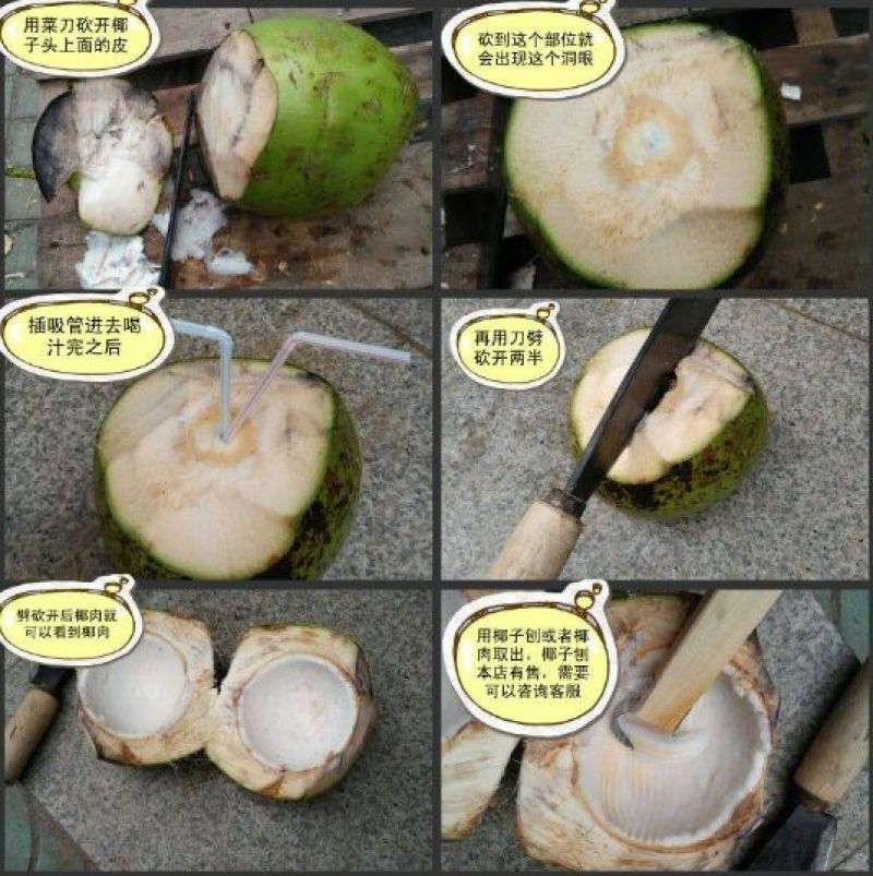 海南当季椰子椰青新鲜水果现摘现发批发产地直发