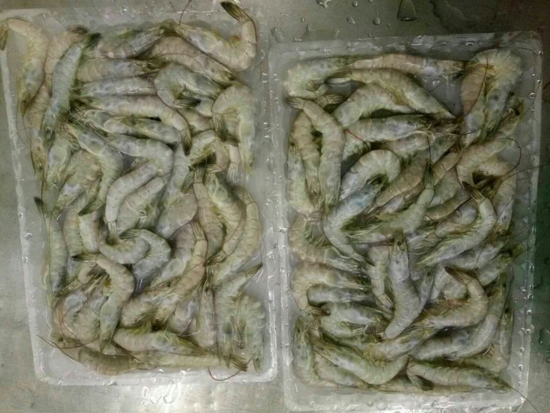 虾干一级