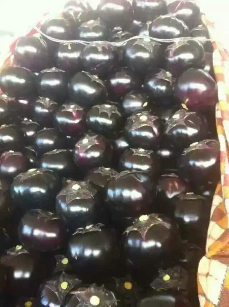 茄子4两以上四季蔬菜四季供应包装齐全