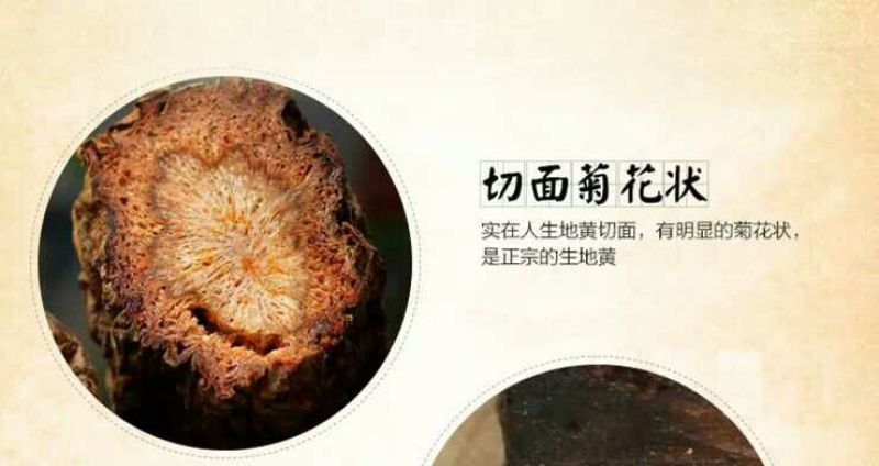 生地