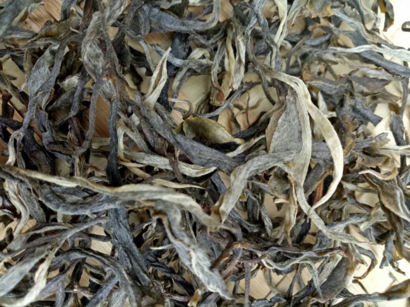 古树茶二级