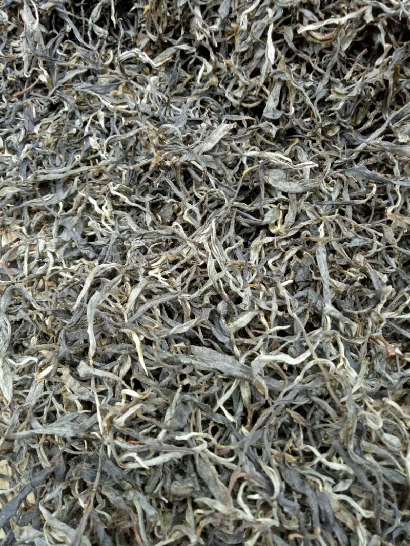 古树茶二级