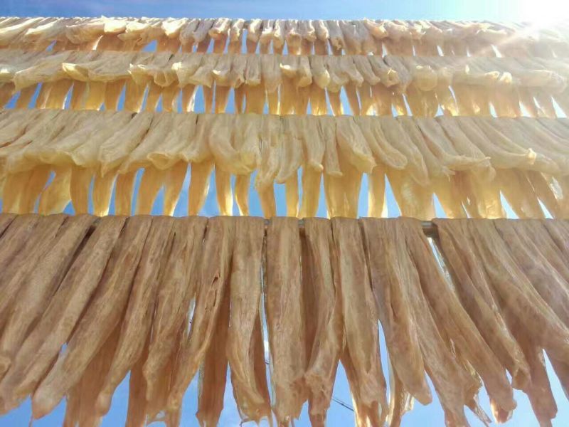 腐竹