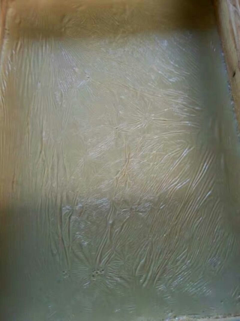 腐竹