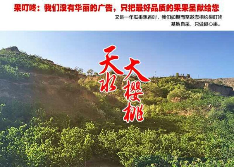 美奇特黑玫瑰樱桃樱桃五斤！！！！！！！！！！！！！