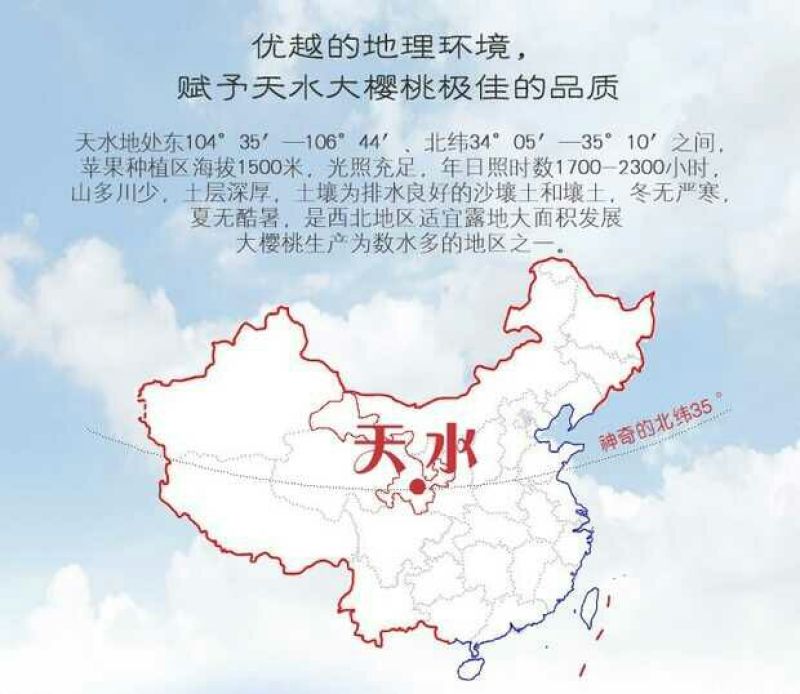 美奇特黑玫瑰樱桃樱桃五斤！！！！！！！！！！！！！