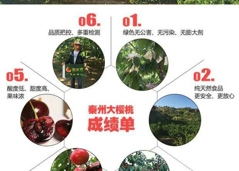 美奇特黑玫瑰樱桃樱桃五斤！！！！！！！！！！！！！