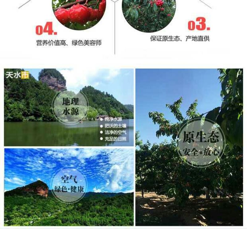 美奇特黑玫瑰樱桃樱桃五斤！！！！！！！！！！！！！