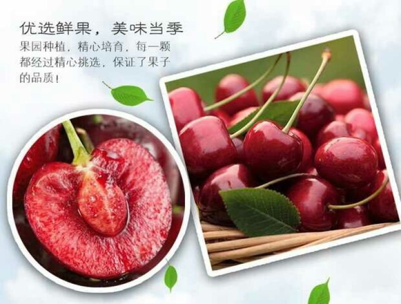 美奇特黑玫瑰樱桃樱桃五斤！！！！！！！！！！！！！