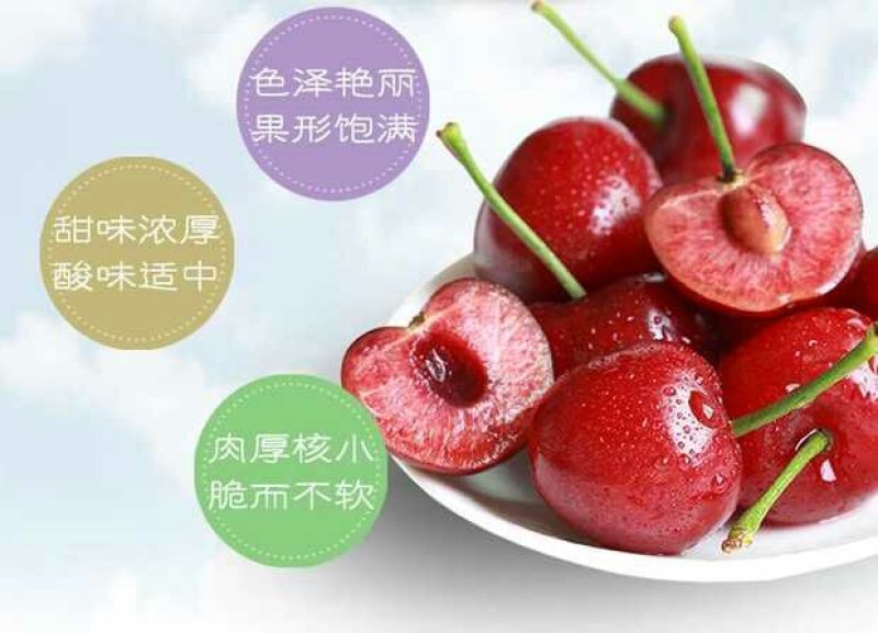 美奇特黑玫瑰樱桃樱桃五斤！！！！！！！！！！！！！