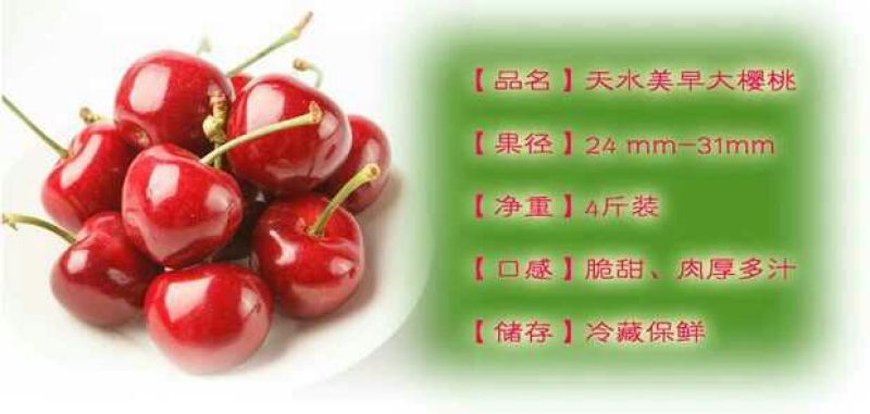 美奇特黑玫瑰樱桃樱桃五斤！！！！！！！！！！！！！